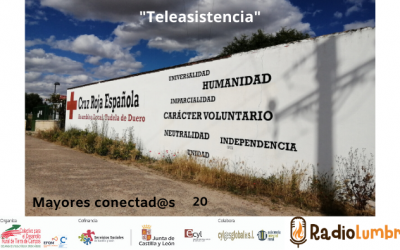 Teleasistencia