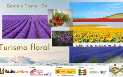 “Turismo floral”